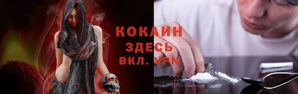 PSILOCYBIN Заволжск