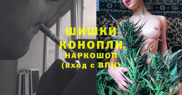 PSILOCYBIN Заволжск