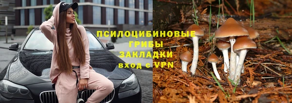 jwh Зеленокумск