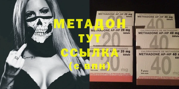 прущие грибы Сатка