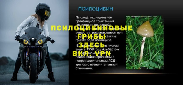 экстази Нестеровская